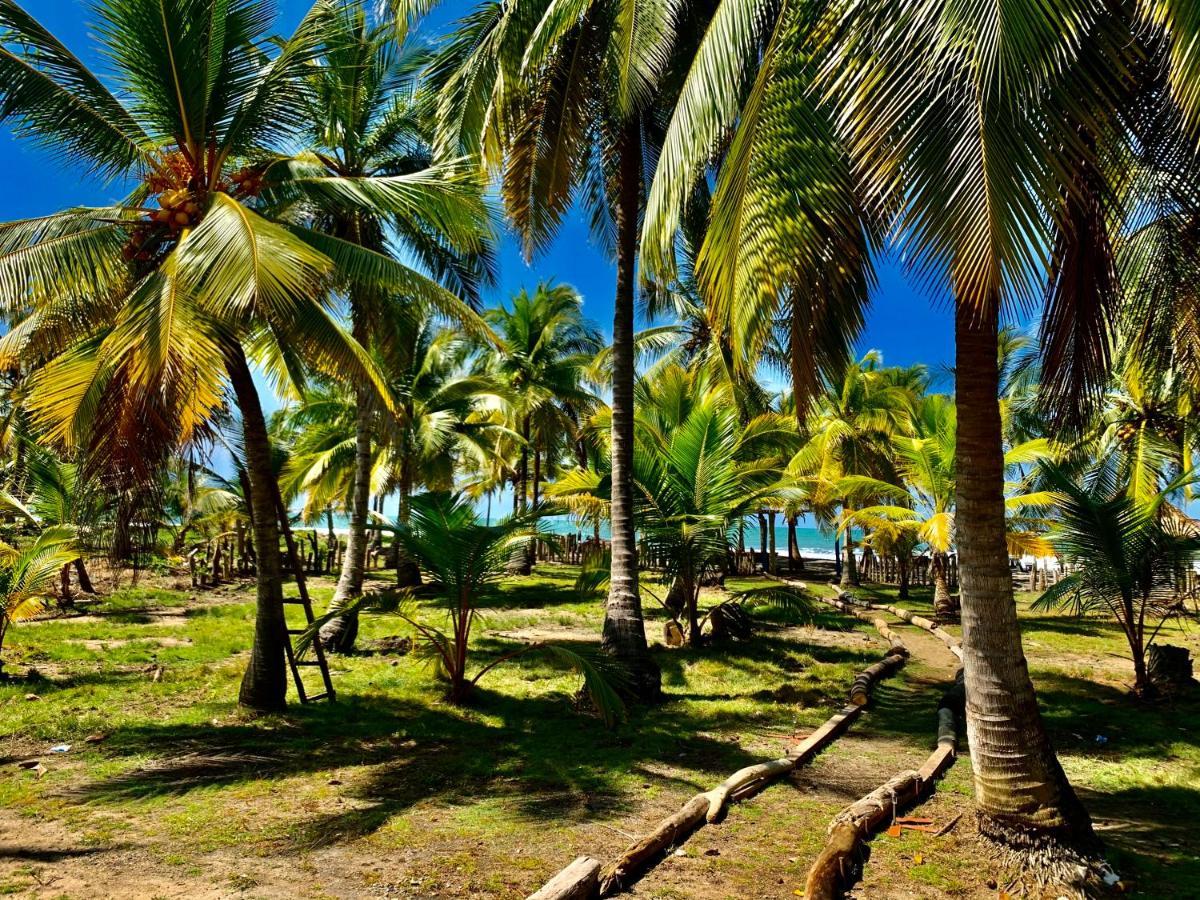 Playa Jaguar - Beach Club Monitos Exterior foto